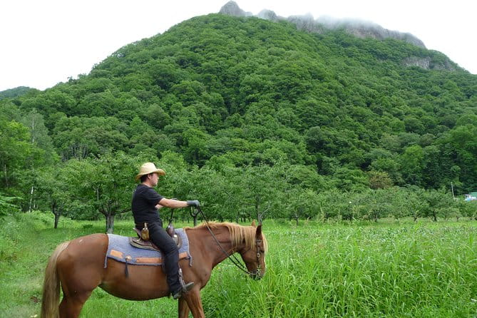 Horseback-Riding in a Country Side in Sapporo - Private Transfer Is Included - Additional Details
