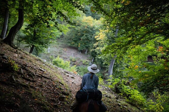 Horseback Riding in Armenia - Exploring the Woods and Valleys of Debed and Tsovaqar