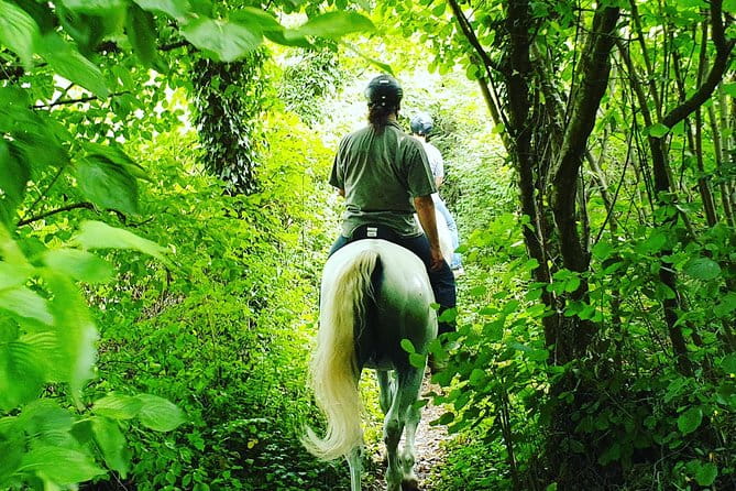 Horseback Riding In Bled - Inclusions of the Tour Package