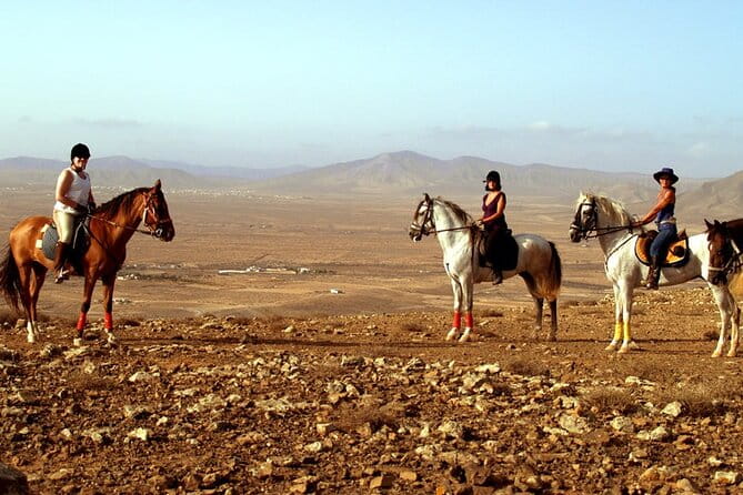 Horseback Riding in Fuerteventura for 1 or 2 hours, Spain - Who This Experience Is Perfect For