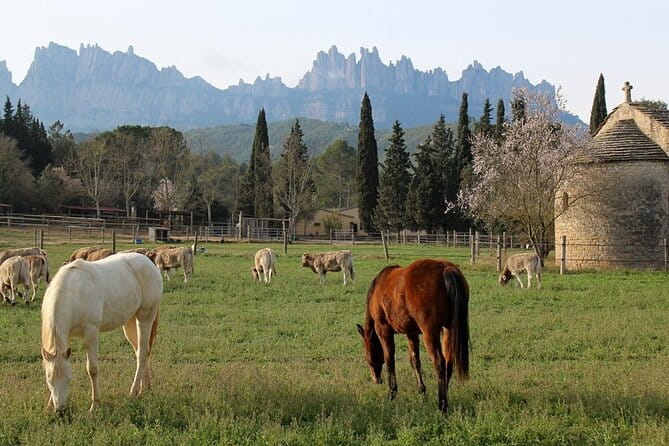 Horseback Riding in Montserrat Mountain Natural Park, Barcelona - 1 to 2 hrs - Why This Tour Might Not Be for Everyone