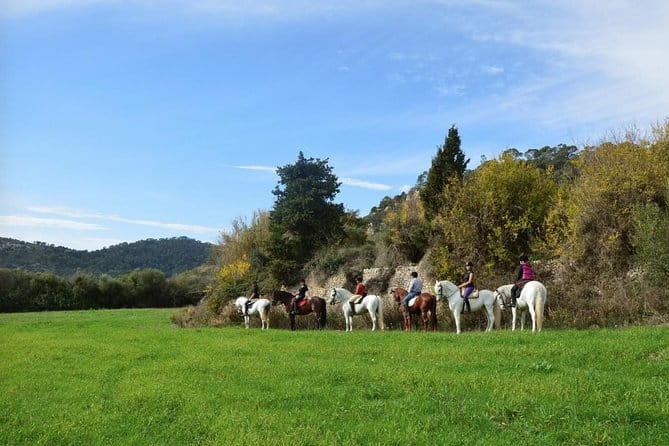 Horseback Riding in Randa Valleys, Mallorca, Spain - Key points / Takeaways