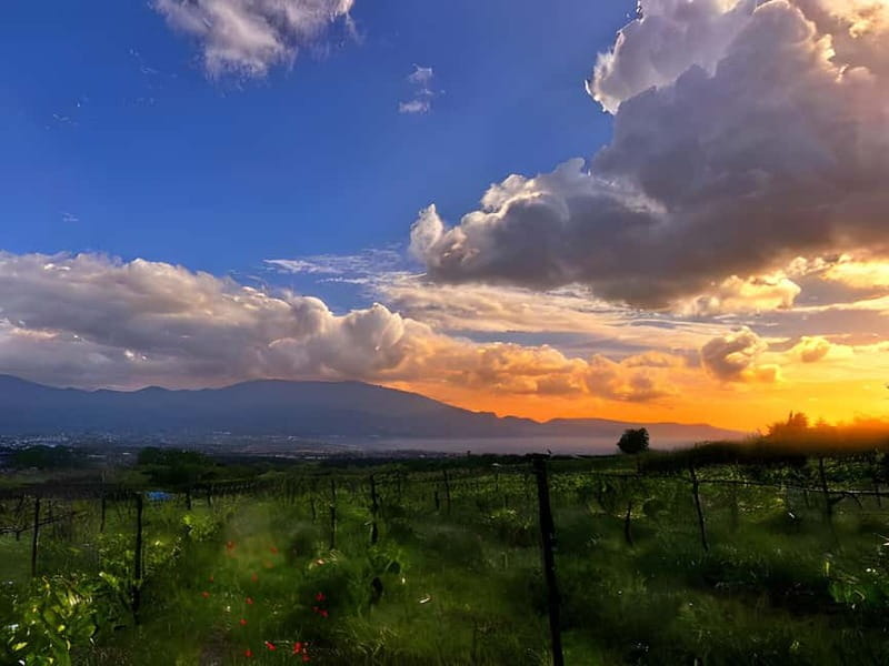 Horseback Riding on Mt.Vesuvius with Wine Tasting and Dinner - Tasting and Dining with View
