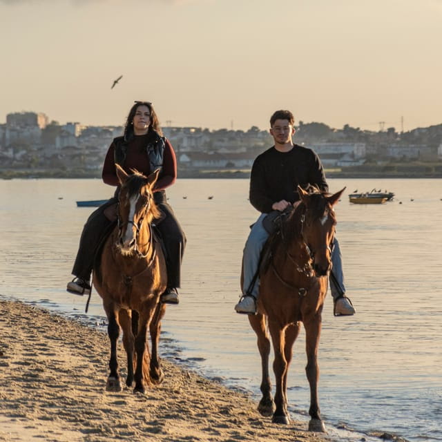 Horseback Riding On The Beach At Sunset - Key points / Takeaways
