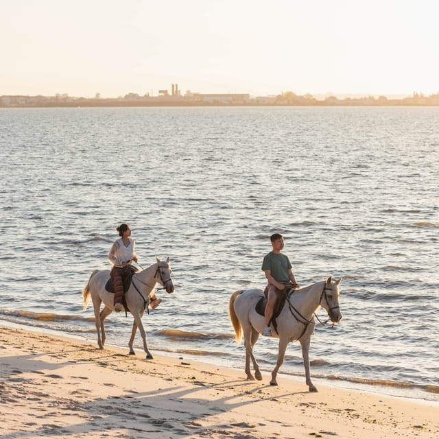 Horseback Riding On The Beach At Sunset - A Gentle Introduction to Riding and the Coastal Vistas