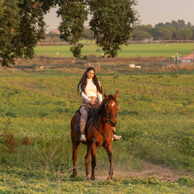 Horseback Riding On The Beach At Sunset - Who Is This For?