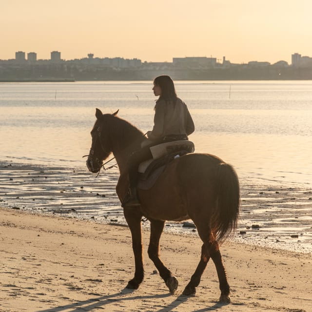 Horseback Riding On The Beach At Sunset - Tips for Visitors