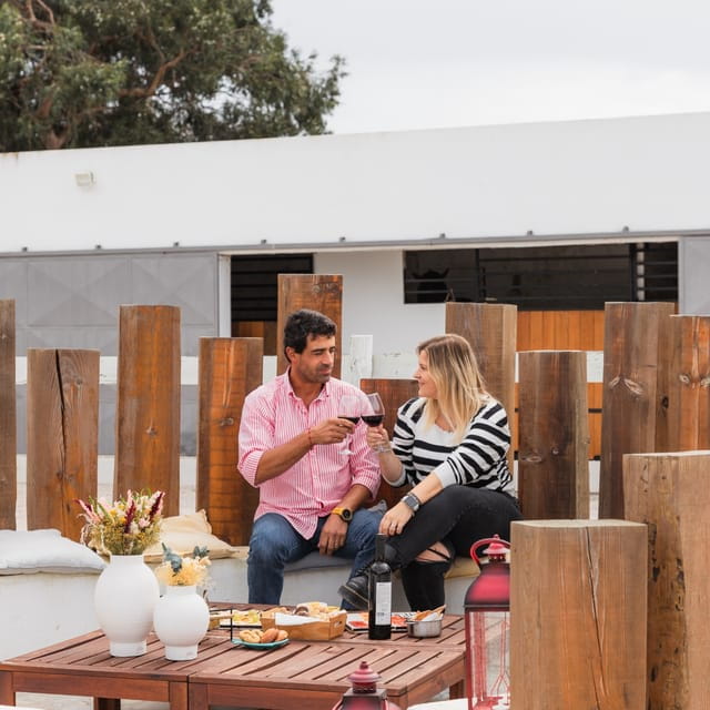 Horseback Riding On The Beach + Tapas + Photo Report - PDT - A Pony Ride with a View and a Taste of Portugal