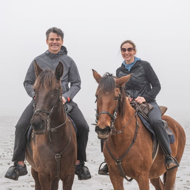 Horseback Riding On The Beach + Tapas + Photo Report - PDT - Photos and Memories: The Included Photo Report