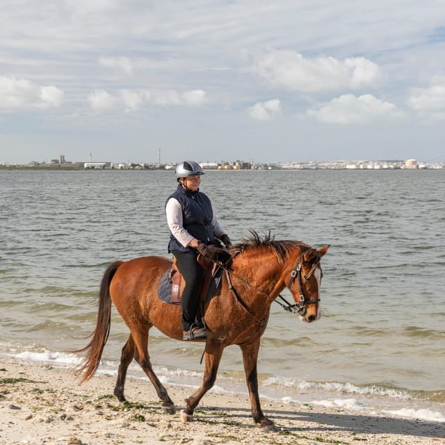 Horseback Riding On The Beach + Tapas + Photo Report - PDT - Who This Experience Is Best For
