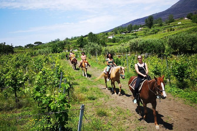 Horseback Riding on Vesuvius - Final Thoughts: Who Should Book This Experience?