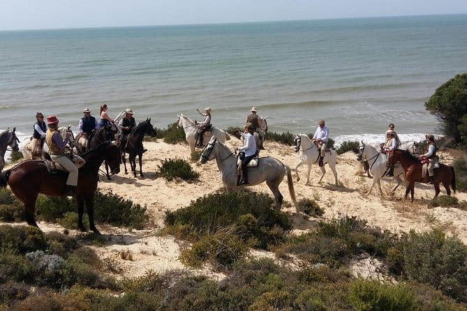 Horseback riding through Doñana and visit of El Rocio - Private tour - Exploring the Natural Beauty of Doñana on Horseback