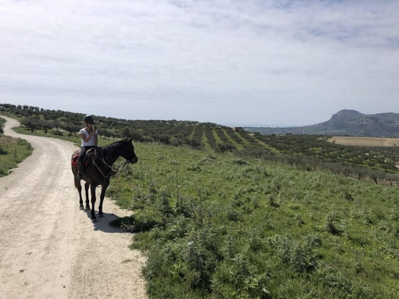 Horseback riding through the olive groves of Sciacca - Final Thoughts: Is It Worth It?