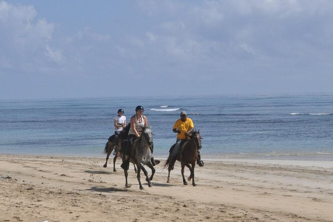 Horseback Riding Tour Adventure on the Beach - Scenic Coastline and River