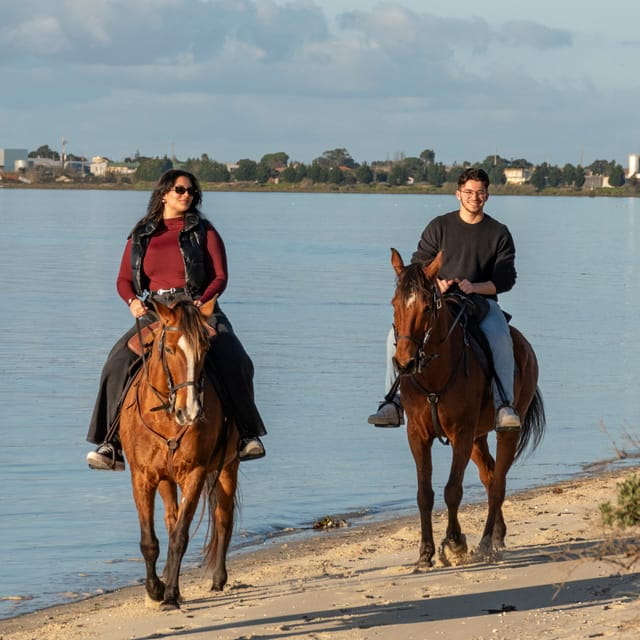 Horseback Riding Trough The Beach GROUP - PDT - Key Points / Takeaways