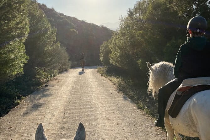 Horseback Riding with Certified Guide - An Overview of the Horseback Riding Experience in Malaga