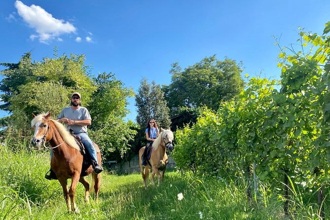 Horseback Riding with Wine and Food Tasting in Lazise Countryside - Key points / Takeaways