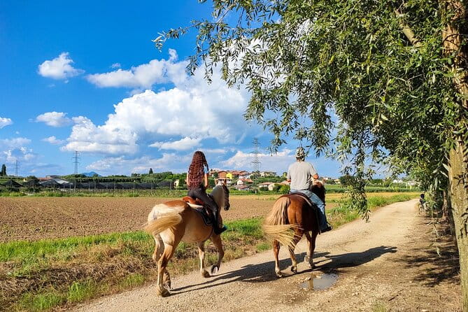 Horseback Riding with Wine and Food Tasting in Lazise Countryside - Discovering Lazise’s Countryside on Horseback