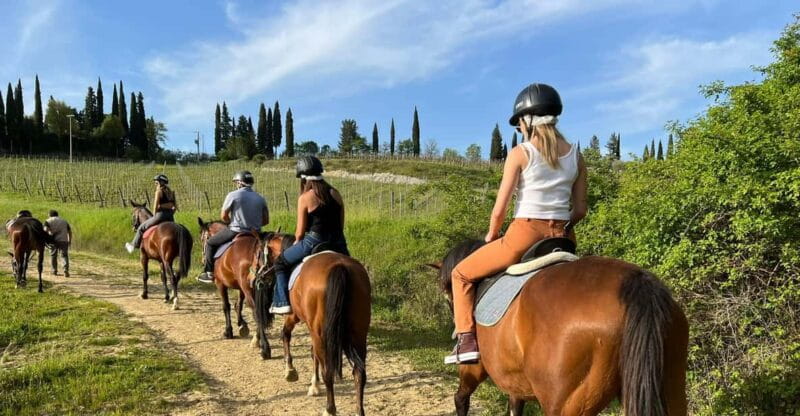 Horseback Riding with Wine Tour from Florence - Key points / Takeaways