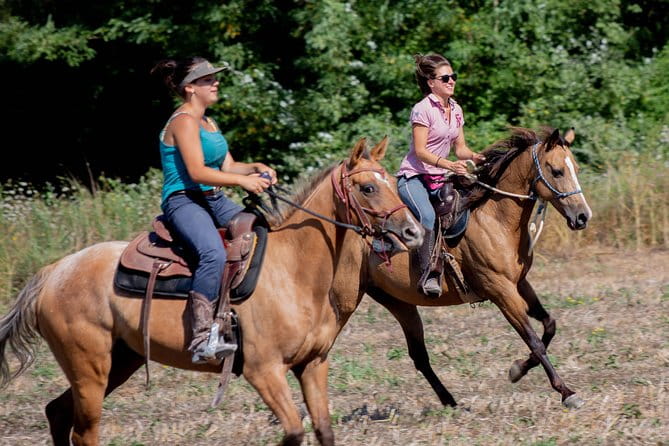 Horsemanship Experience - Key Points / Takeaways