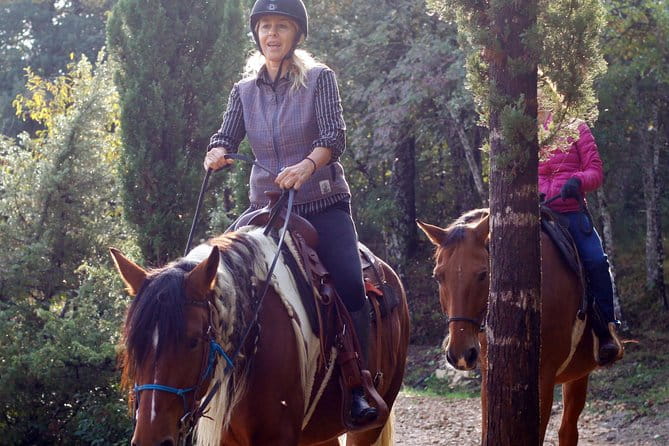Horsemanship Experience - The Experience: What You Can Expect