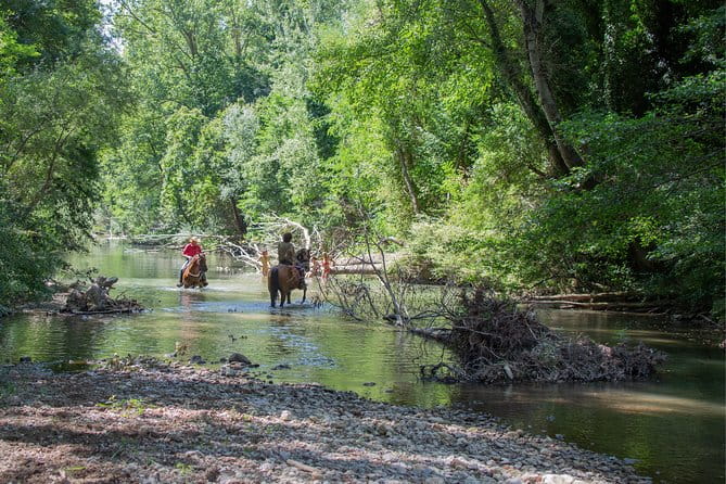 Horsemanship Experience - Frequently Asked Questions