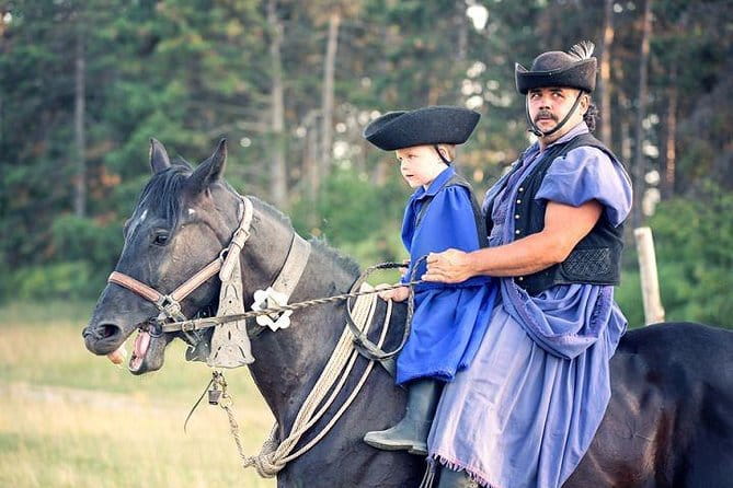 Horseshow on the Hungarian Puszta, private tour from Budapest with entry! - Key points / Takeaways