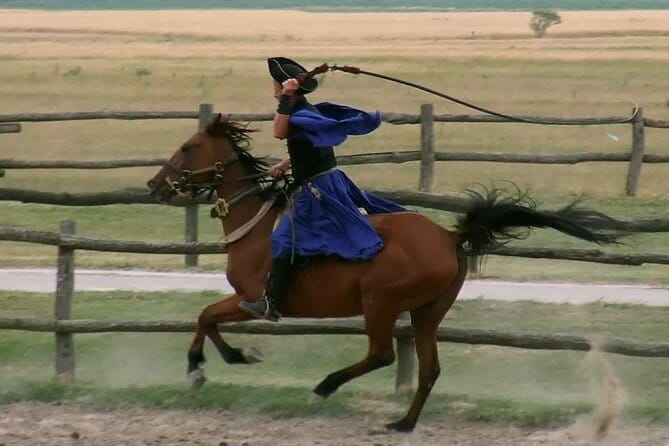 Horseshow on the Hungarian Puszta, private tour from Budapest with entry! - Practical Tips for Booking and Enjoying the Tour