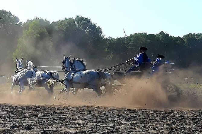 Horseshow on the Hungarian Puszta, private tour from Budapest with entry! - The Sum Up