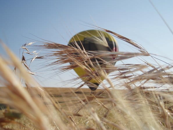 Hot-Air Balloon Ride over Aranjuez with Optional Transport from Madrid - FAQ