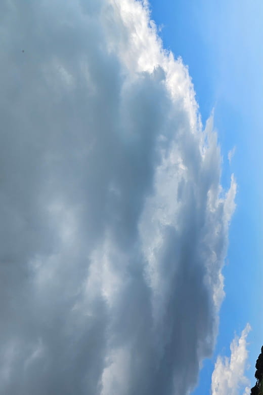 Howth: Guided Sea Kayaking To Baily Lighthouse with Pictures - Key Points / Takeaways