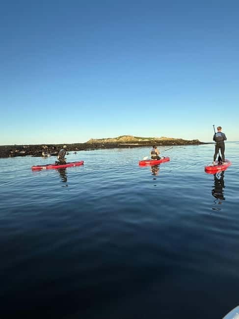 Howth: Paddleboarding Lesson in Howth Harbour - Key Points / Takeaways