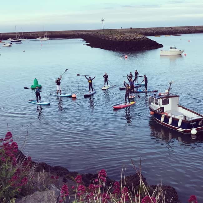 Howth: Paddleboarding Lesson in Howth Harbour - Who Is This Experience Best Suited For?