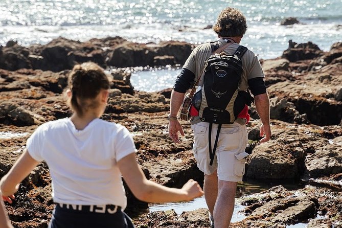 Howth Peninsula Hiking Tour Overlooking Dublin Bay - Getting to Howth