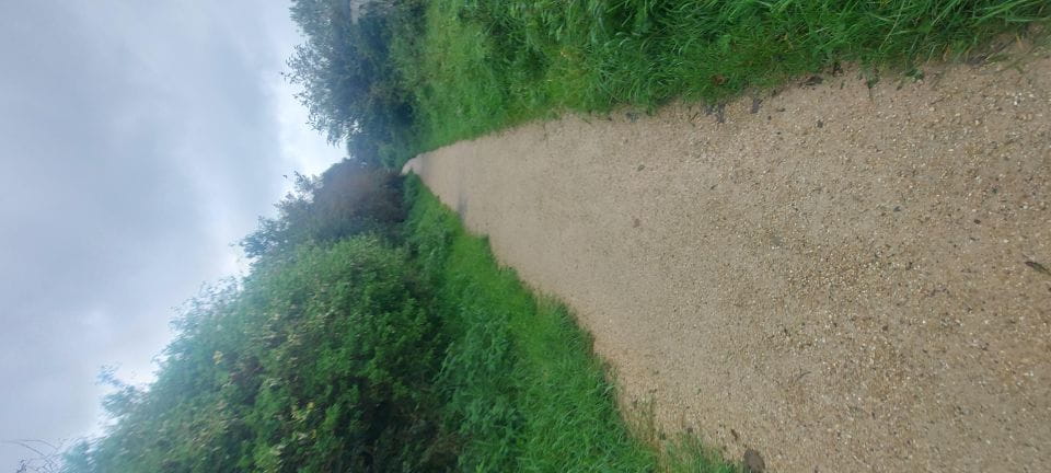 Howth Walking Tours With John the Man - Booking Information