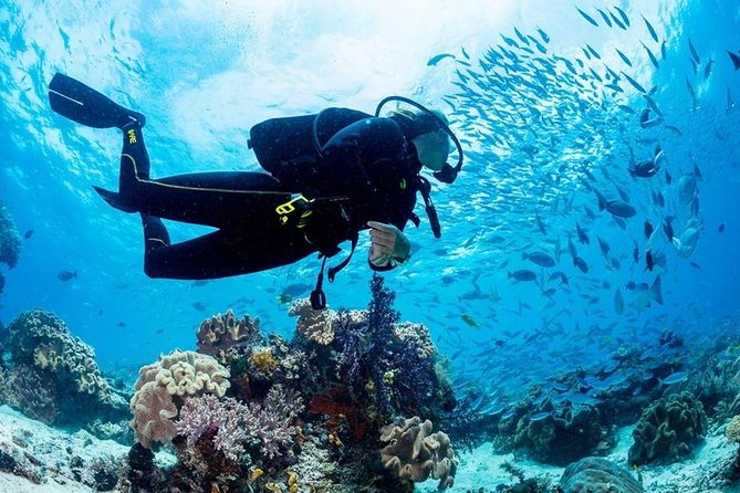 Hurghada: Full-Day Diving Tour With Lunch & Two Dive Sites - Pickup Locations