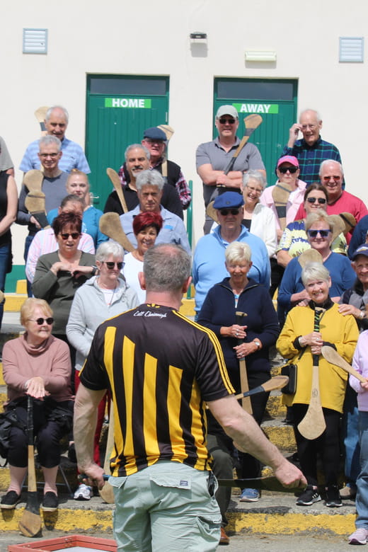 Hurling Experience in Kilkenny City - Entering the World of Hurling: What To Expect