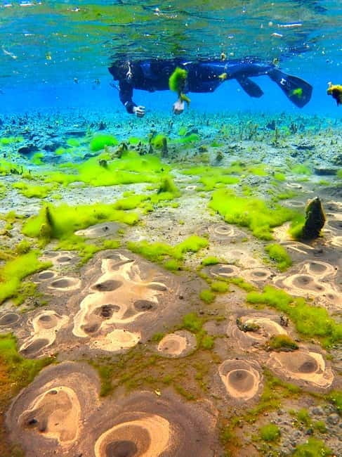 Húsavík: Bubbling Sands Snorkeling Tour - Key points / Takeaways