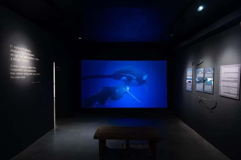Húsavík: Whale Museum Entry Ticket - Final Thoughts