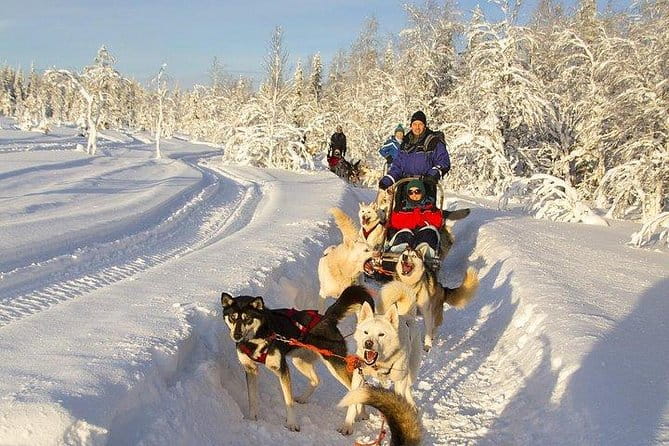 Husky Ride Private Tour from Krakow - Entering a Winter Wonderland with a Husky Sled Ride
