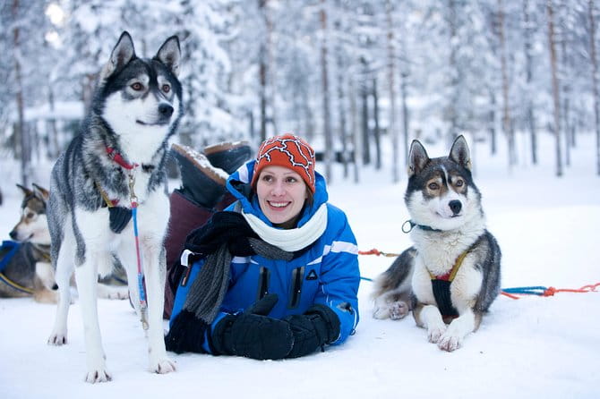 Husky Safari from Rovaniemi Including a Husky Sled Ride - Key points / Takeaways