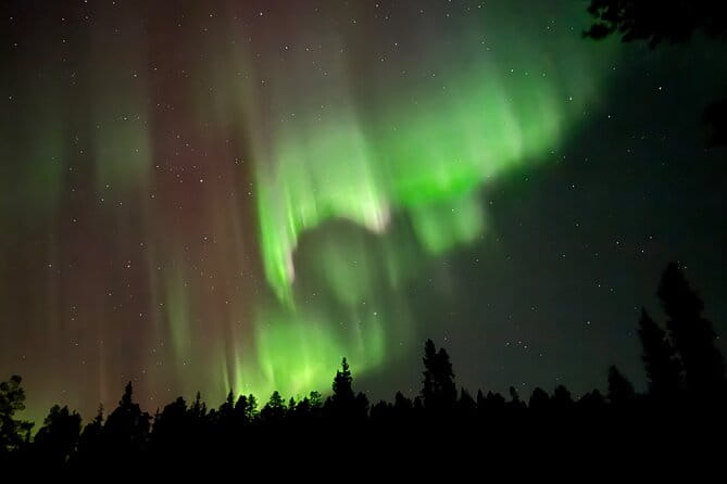 Husky Sled Ride Northern Lights Tour from Kiruna - Final Thoughts