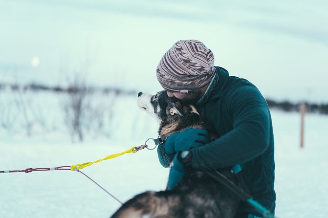 Husky Sledding Self-Drive Adventure in Tromso - Experience Highlights