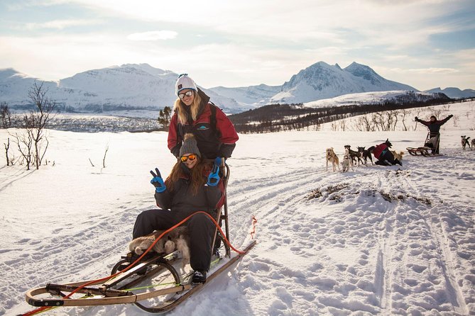 Husky Sledding Self-Drive Adventure in Tromso - Participant Requirements