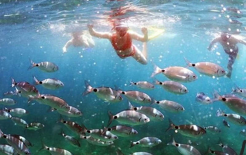 Hvar gems: Cave, Stiniva, Jelsa, Zeevo, beach restaurant - Zeevo Islet and the Blue Lagoon: A Picture-Perfect Swim Spot