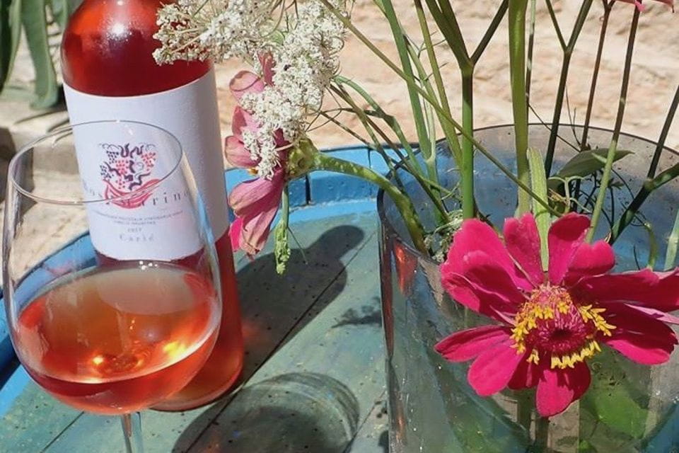 Hvar: Hvar Wine Tasting Experience - Itinerary and Highlights