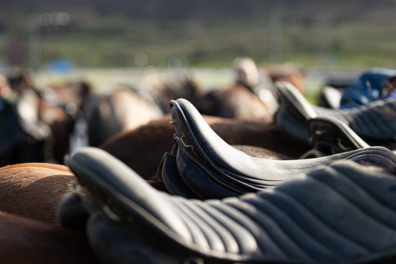 Hveragerdi: Countryside Charm Horse Riding Tour - Exploring the Heart of Icelandic Countryside on Horseback