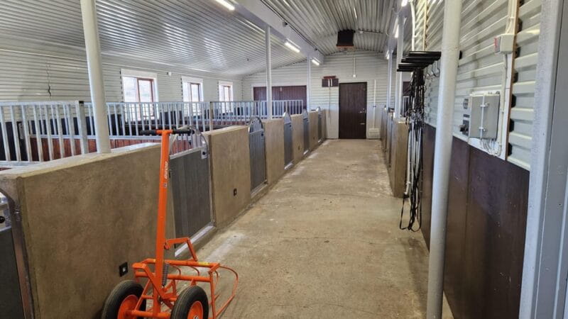 Hveragerði: Horseback Riding Tour for Beginners and - A gentle introduction to Iceland’s horse country