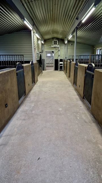 Hveragerði: Horseback Riding Tour for Beginners and - Key points / Takeaways