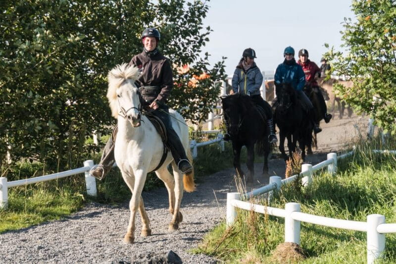 Hveragerdi: The Siggi Horse Riding Tour - Key points / Takeaways